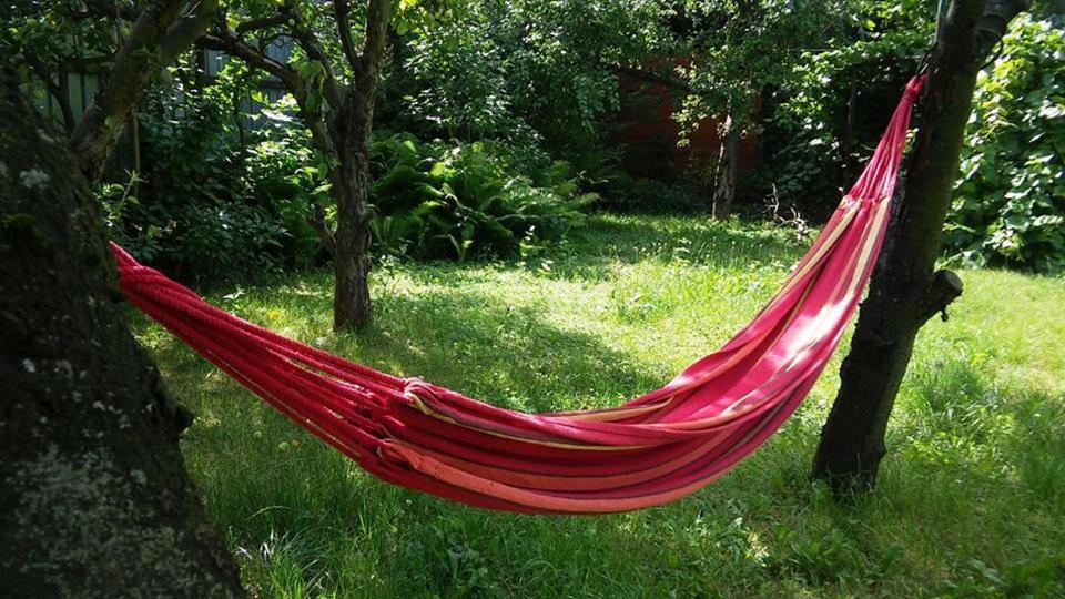 Easy Rider Hostel Вроцлав Екстериор снимка
